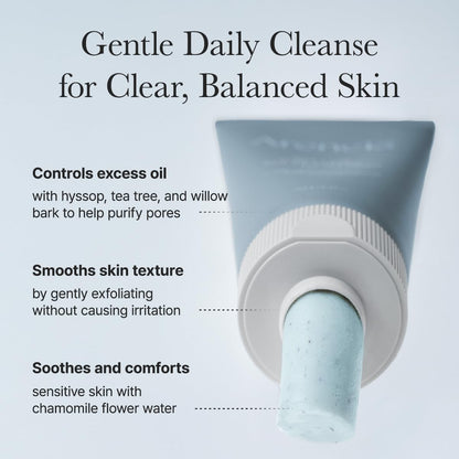 Arencia Hyssop Sebum Control Rice Cake Cleanser 150g