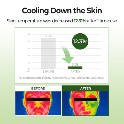 Skinfood Shine Muscat Cica BHA Food Mask 120g